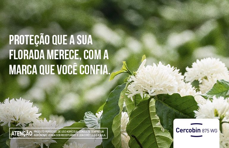 CERCOBIN 875 WG
