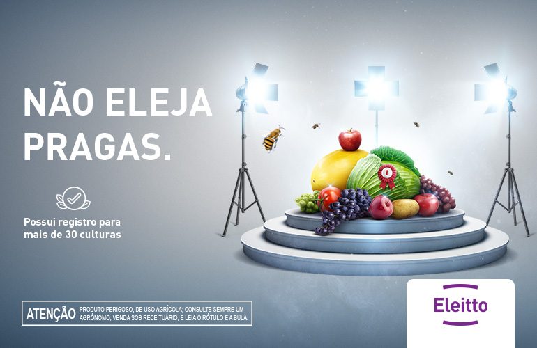 ELEITTO