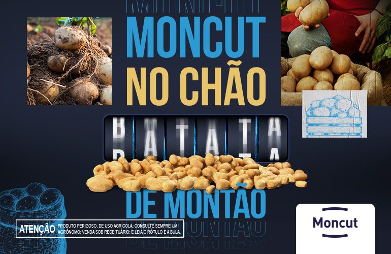 MONCUT