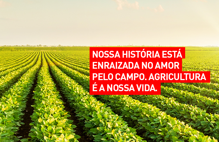 xpto