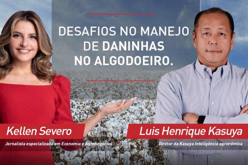 Desafios no combate às daninhas no algodão é tema do IHARACAST dessa semana