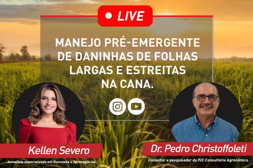 IHARA realiza live entre especialistas sobre manejo de daninhas na Cana