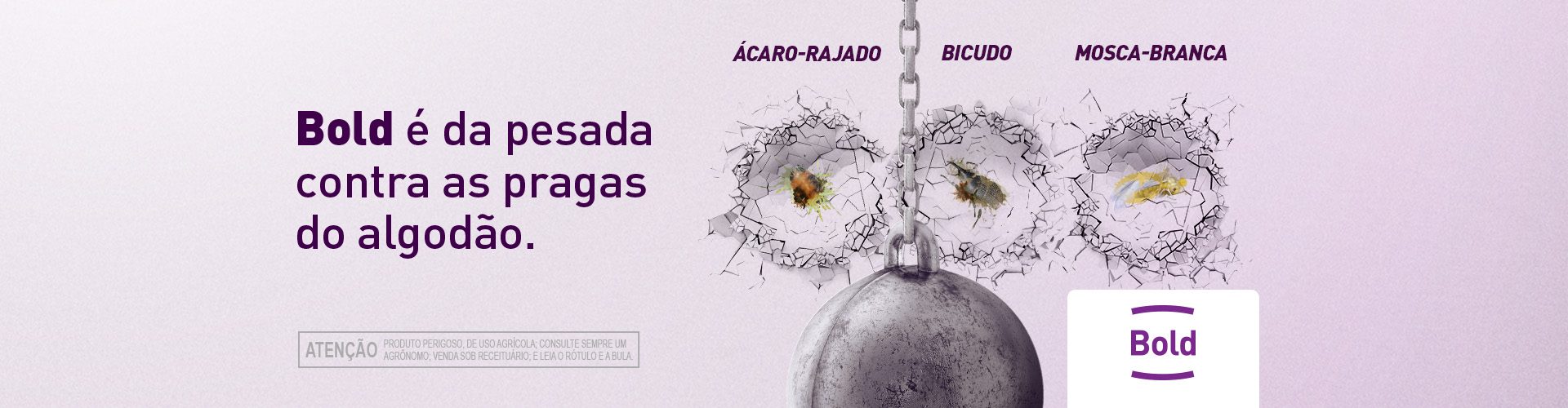 BOLD para Algodão