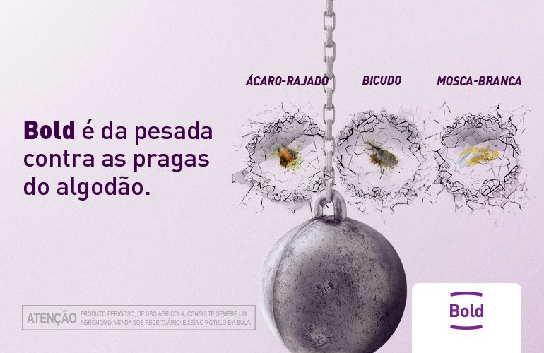 BOLD para Algodão
