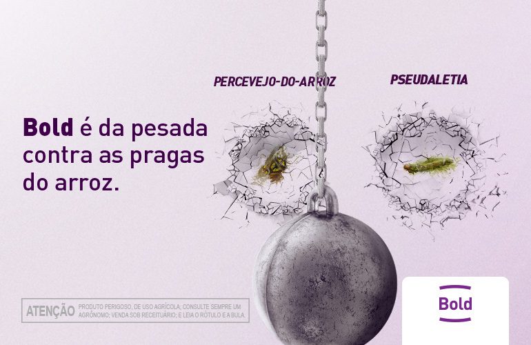 BOLD para Arroz