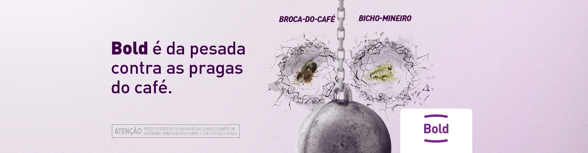 BOLD para Café
