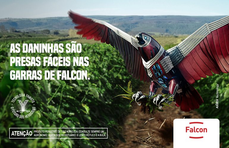 FALCON para Café