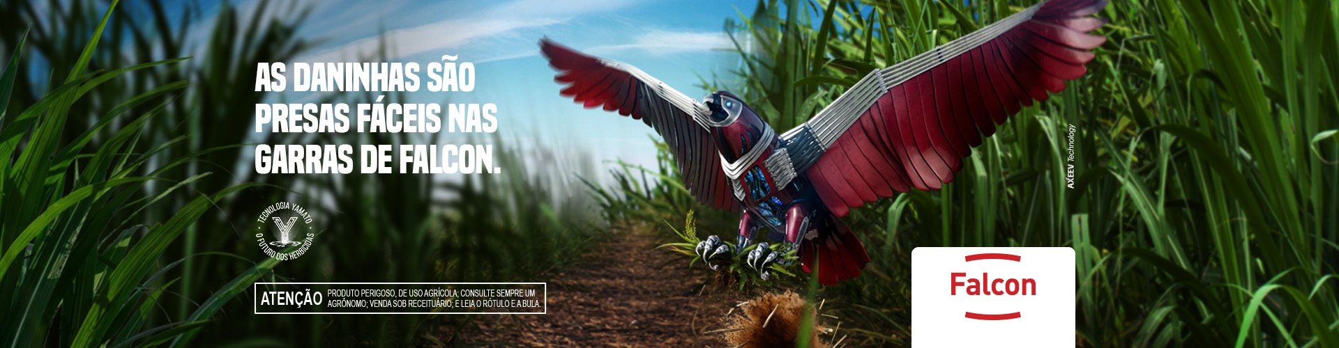 FALCON para Cana