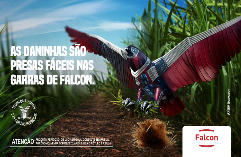 FALCON para Cana