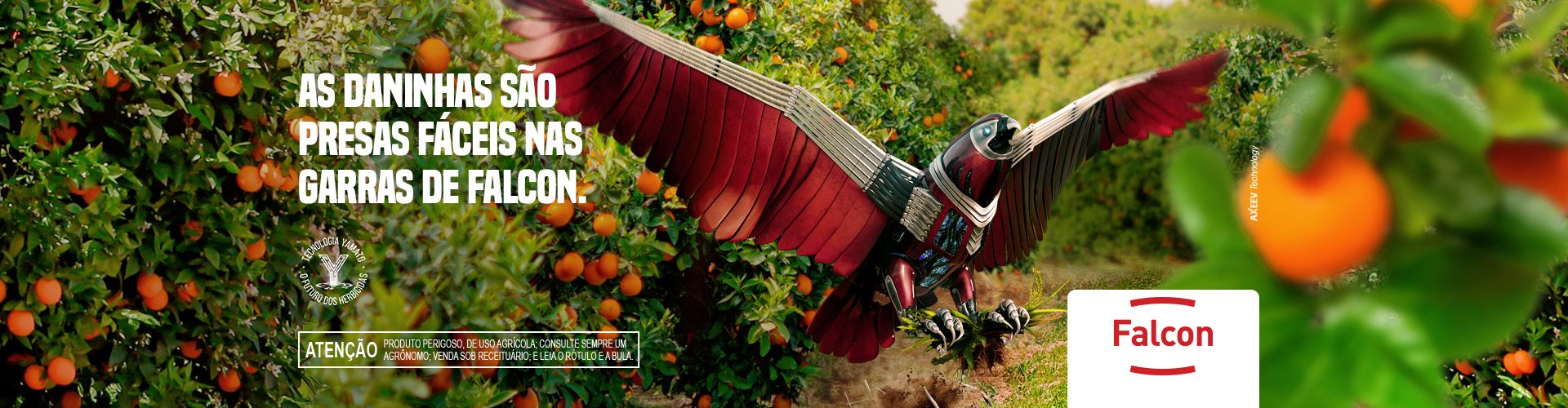 FALCON para Citros
