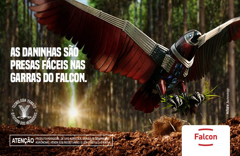 FALCON para Florestas
