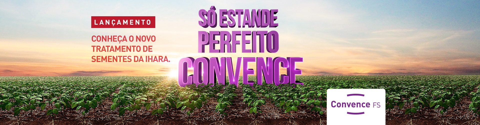 CONVENCE FS