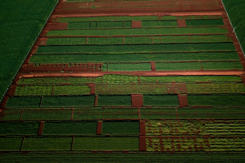 IHARA investe em dois novos Centros de Pesquisa e Desenvolvimento para o setor agrícola