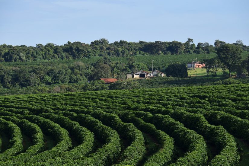 IHARA apresenta série de eventos que levarão orientações e conteúdos relevantes ao agricultor