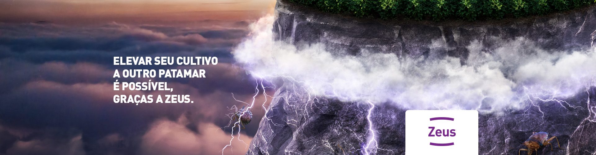 ZEUS