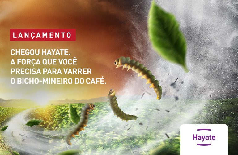 HAYATE para Café
