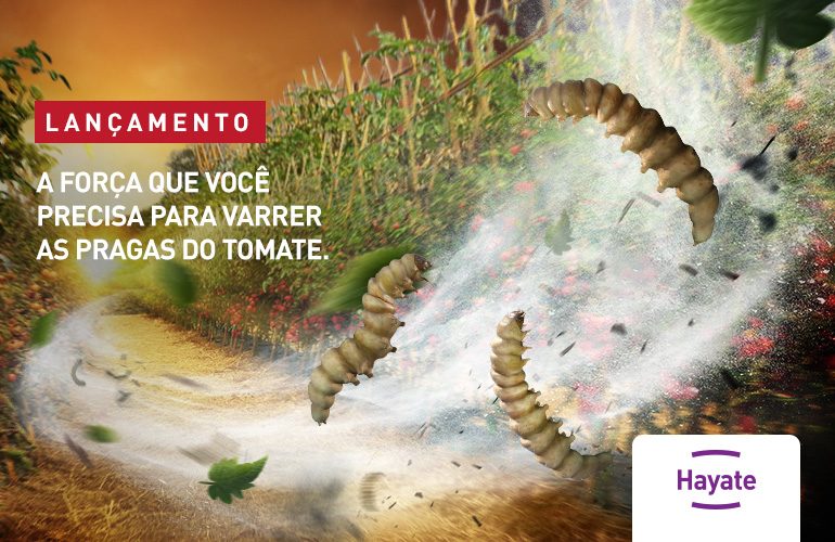 HAYATE para Tomate