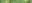 Alternaria solani (pinta-preta)