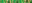 Phytophthora infestans
