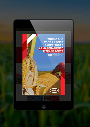 Tudo o que você precisa saber sobre o armazenamento e transporte do milho