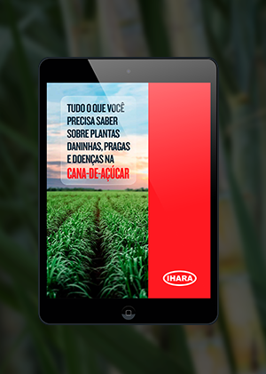 Tudo que você precisa saber sobre pragas, doenças e daninhas na cana-de-açucar