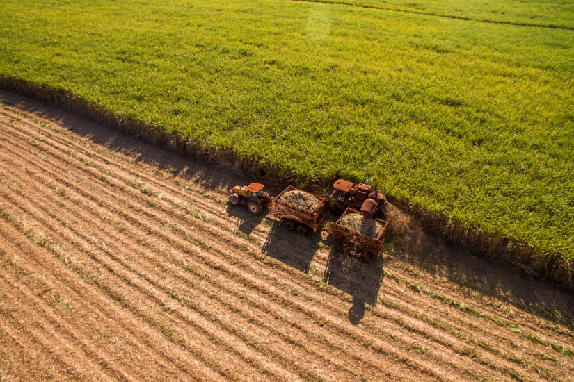 Expectativa da safra da cana em 22/23 é otimista em produtividade e preço
