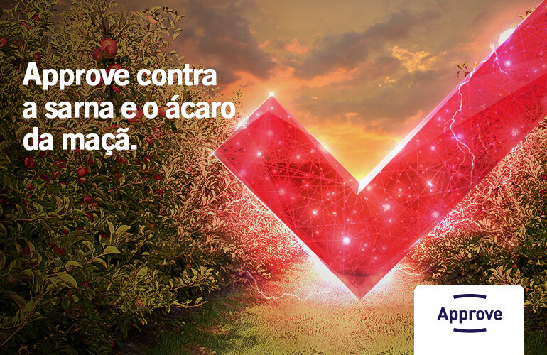 APPROVE para Maça
