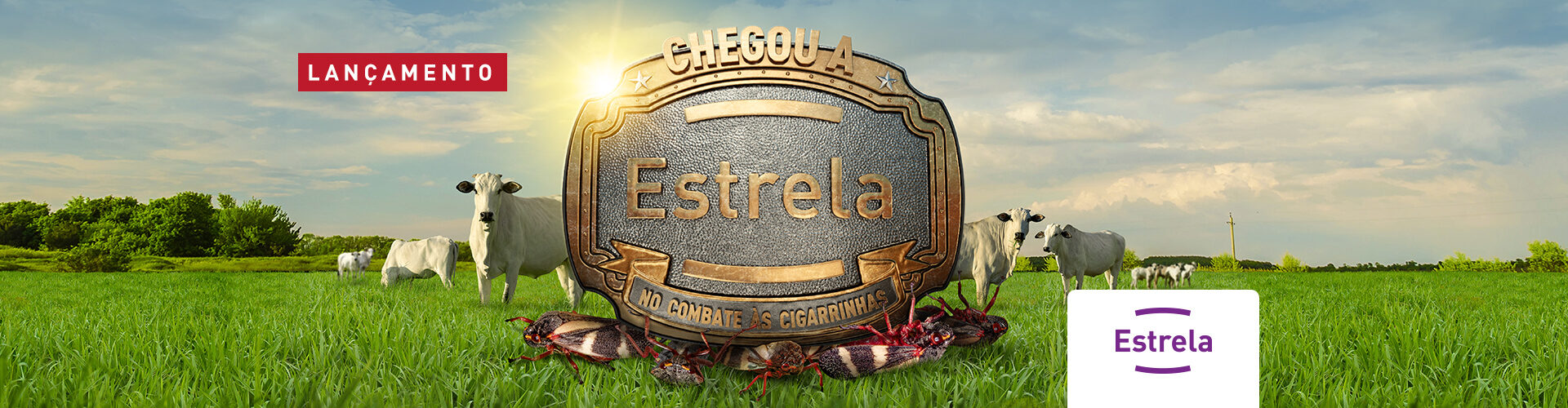 ESTRELA