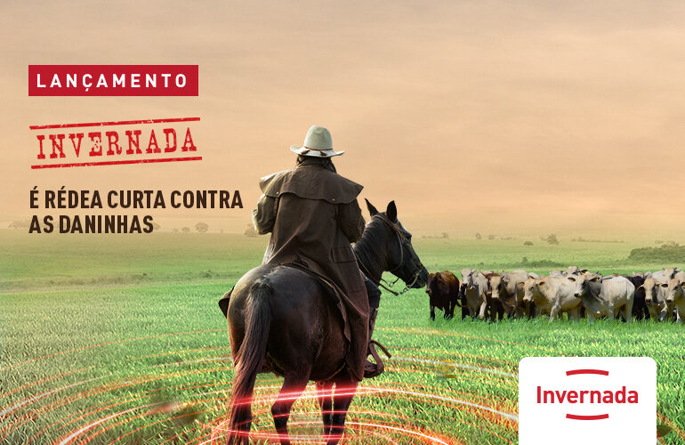 INVERNADA