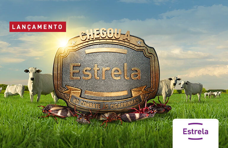 ESTRELA