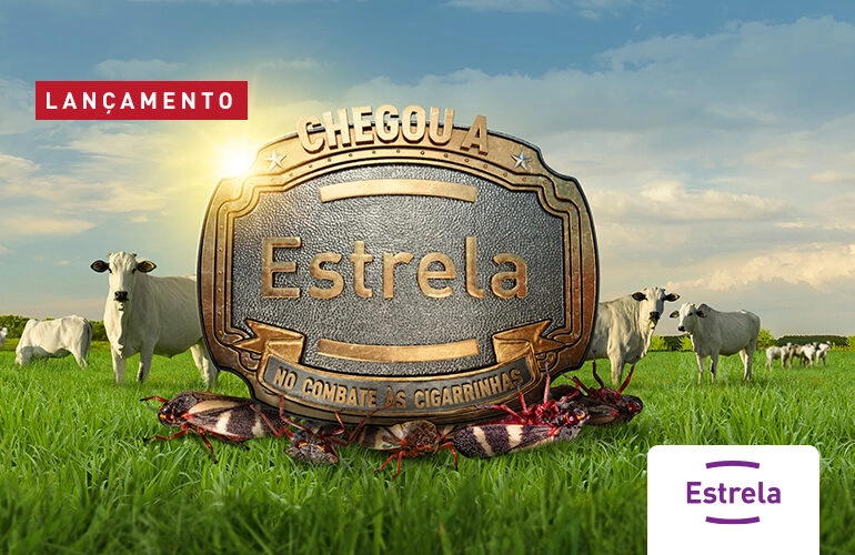 ESTRELA