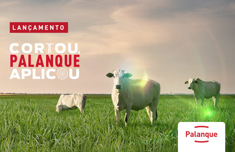 PALANQUE