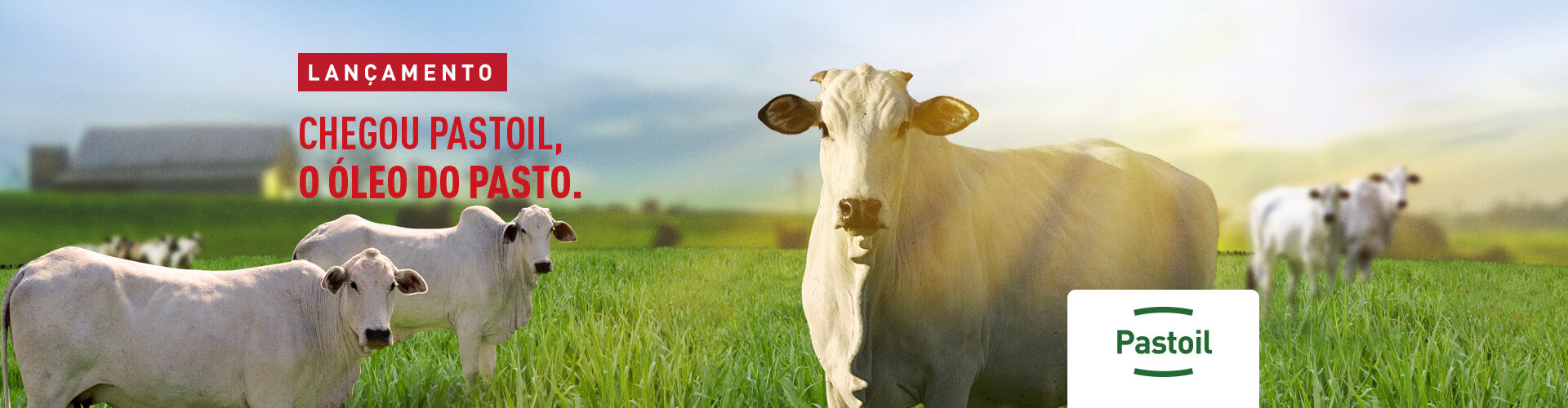 Pastoil
