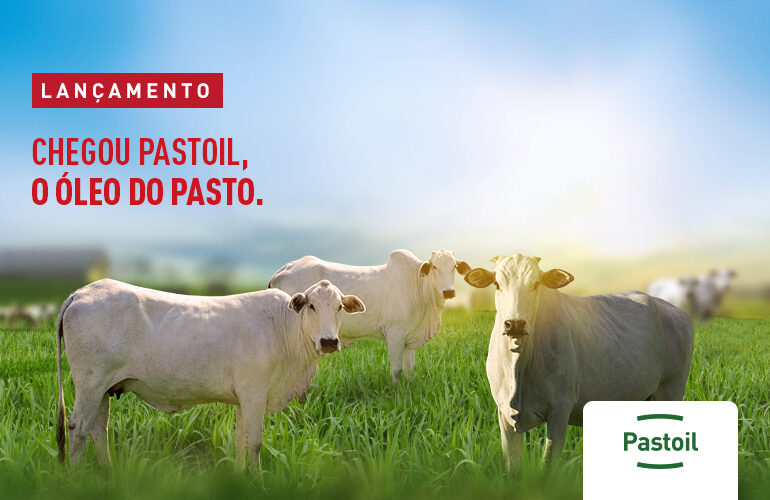 Pastoil