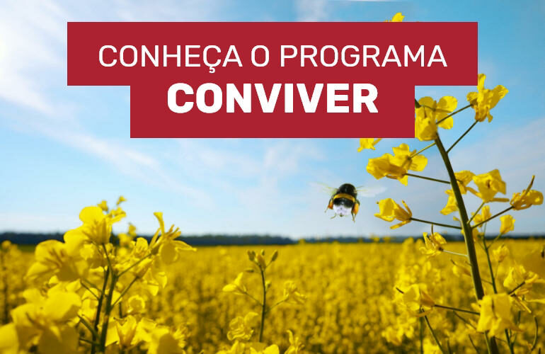 Projeto Conviver