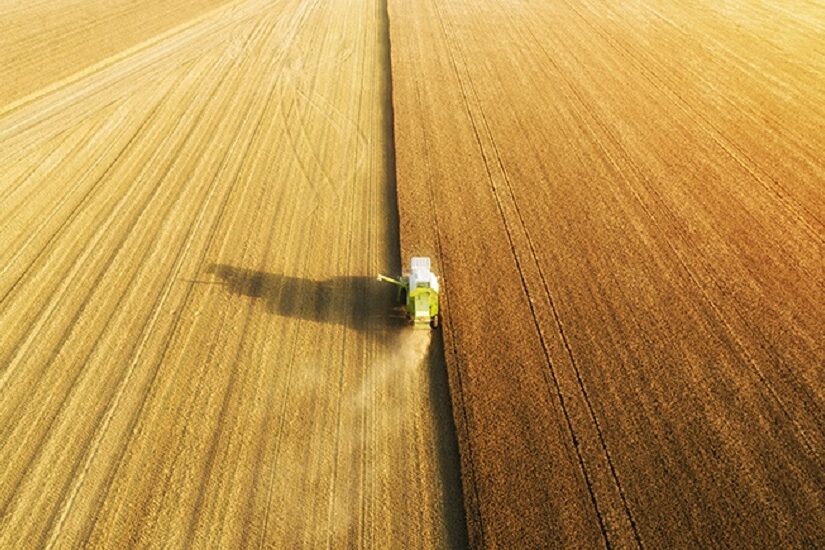 Potencial de crescimento do cultivo de trigo no Brasil