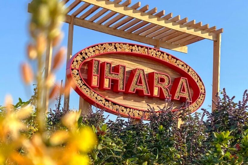 IHARA investe na proteção e valorização dos polinizadores