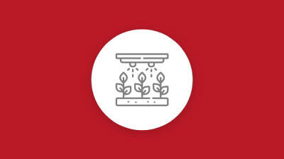 Segurança no Campo
