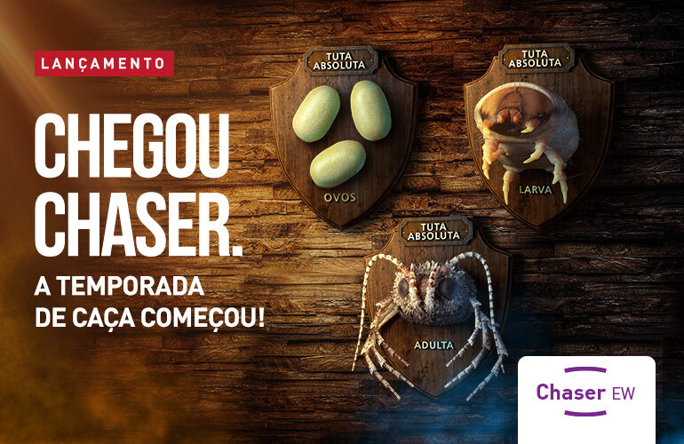 CHASER EW tomate