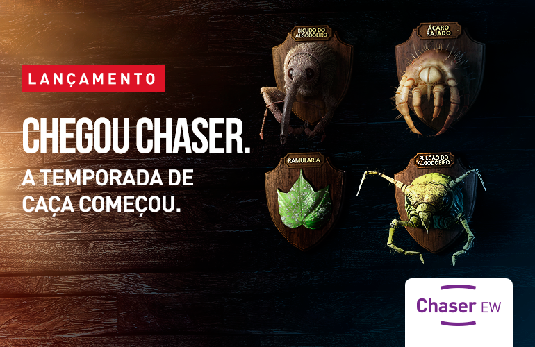 Chegou CHASER. A temporada de caça começou.