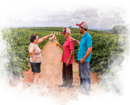 Projeto Café Agricultor Todo Dia