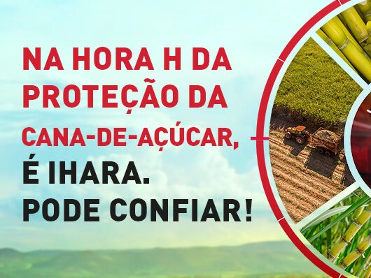 Nova fase do Projeto Satô da IHARA colabora com a gestão da produção de açúcar nas usinas de todo Brasil