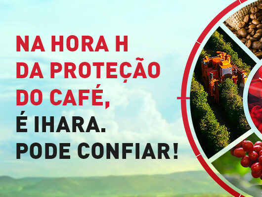 Inseticida para broca do café