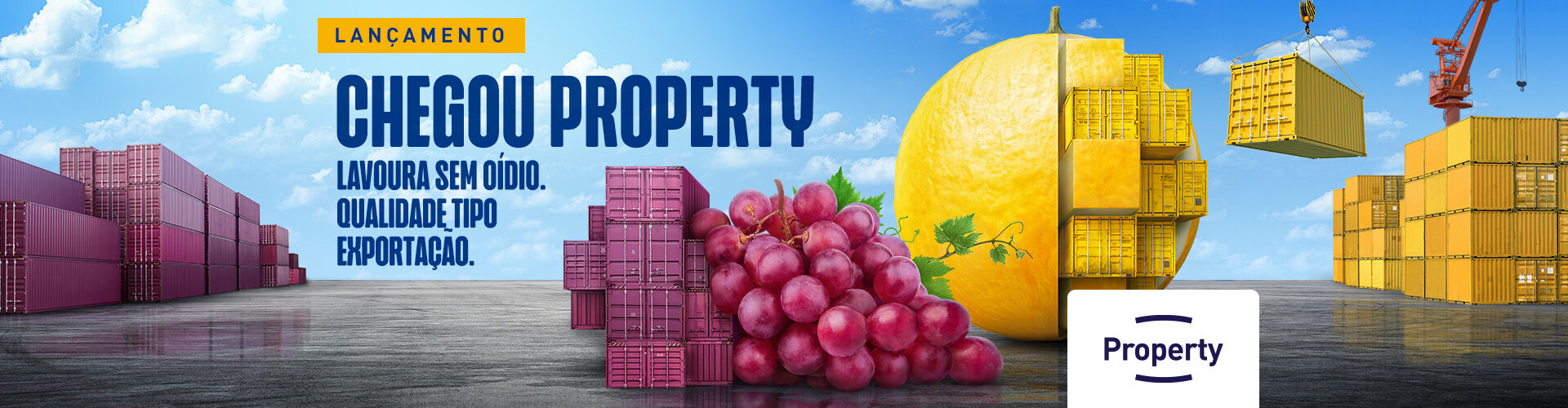 Property