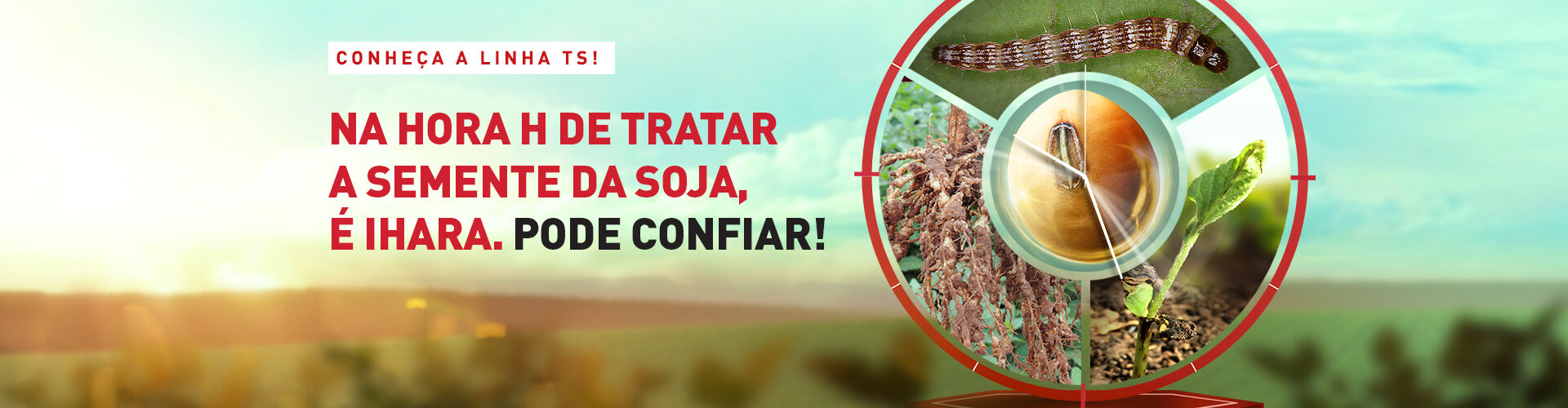 Soluções TS da Ihara