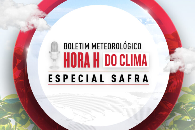 Clima e Safra de Grãos 2025: O que esperar nos próximos meses