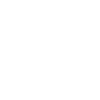 SEIV