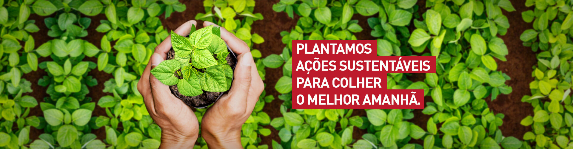 Igualdade Salarial de mulheres e homens