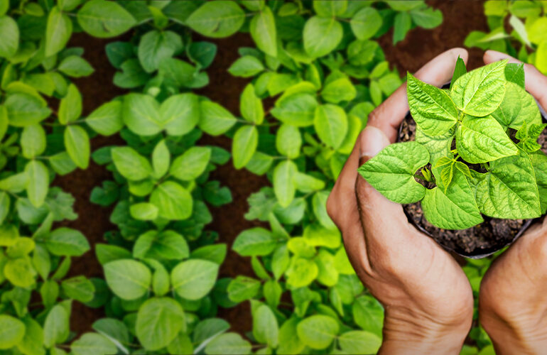 Igualdade Salarial de mulheres e homens