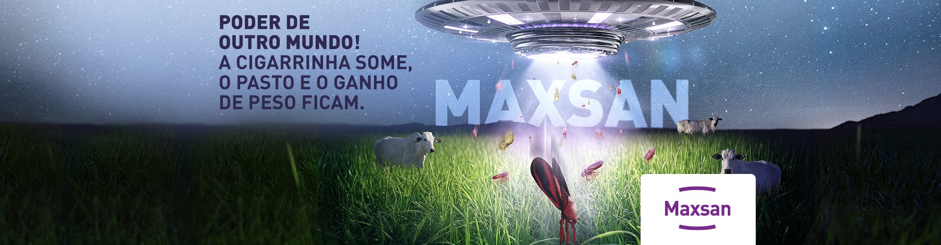 Maxsan Pastagem